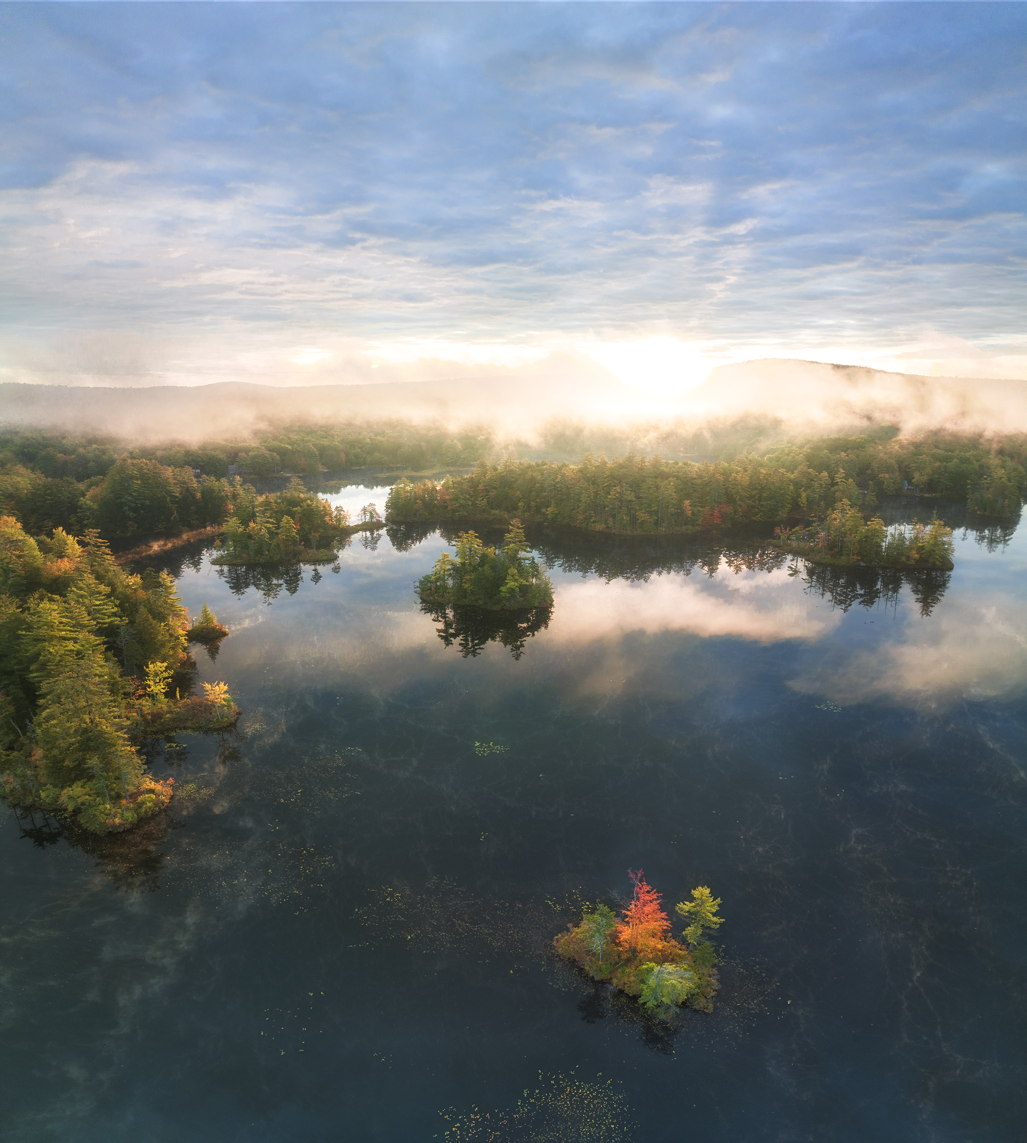 Red Fall Tree on Hermit Lake - Aerial Picture