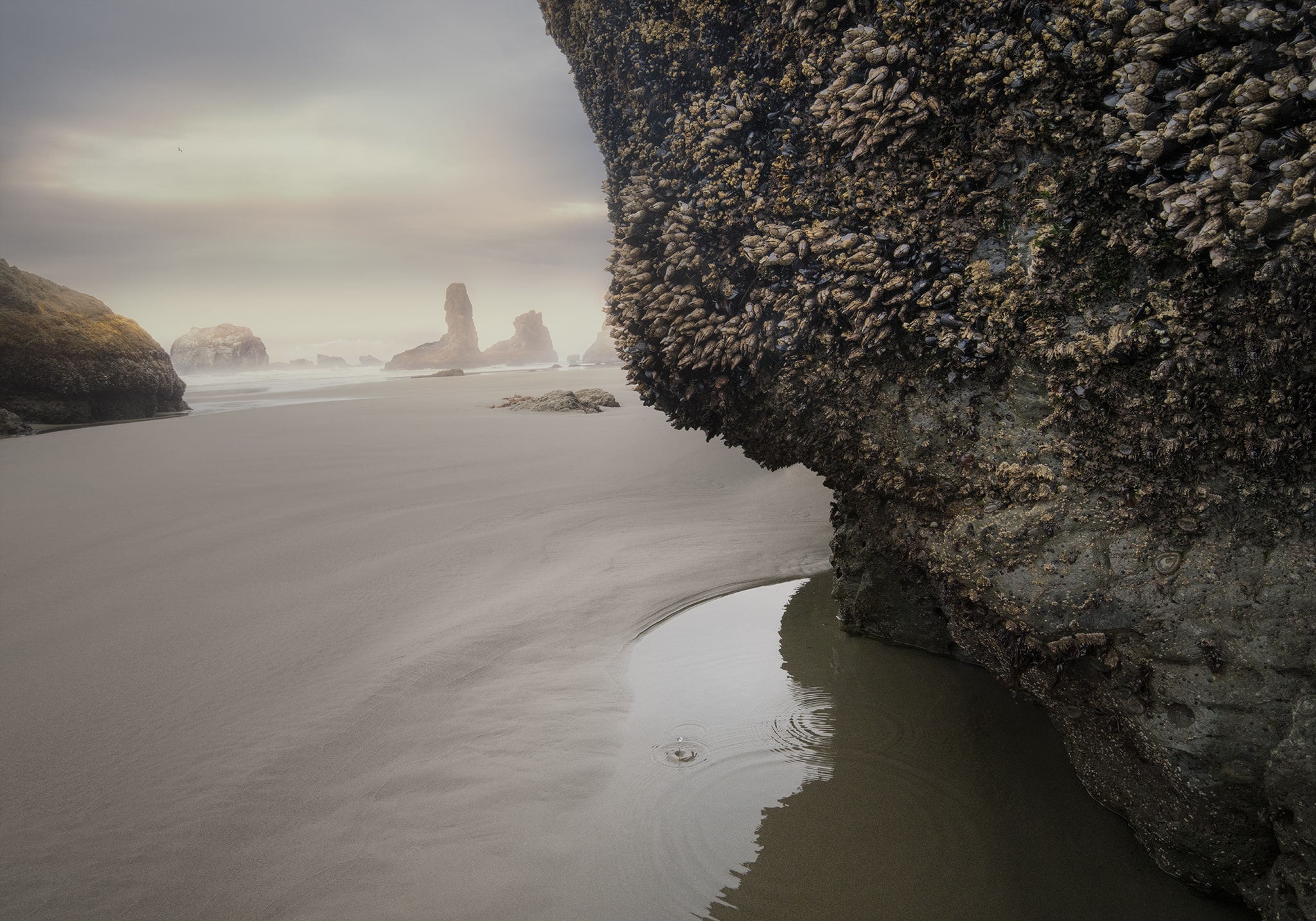 Bandon Beach Sea Stack water