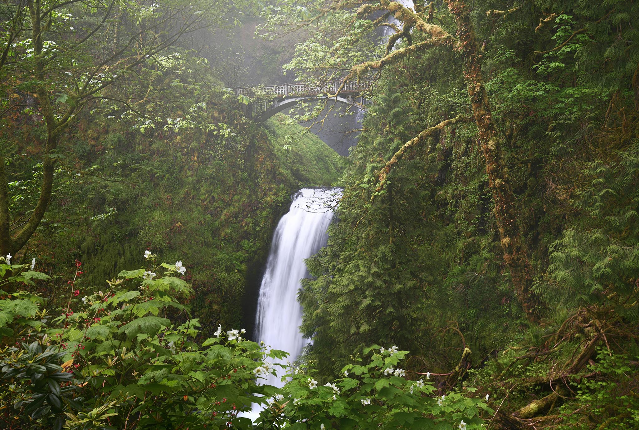 Unique trail view of Multnomah Falls