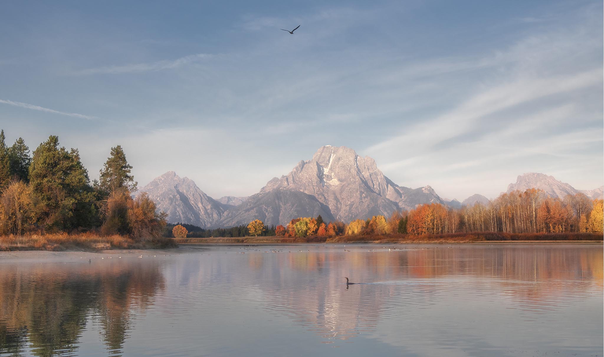 Oxbow Bend in Fall Colors
