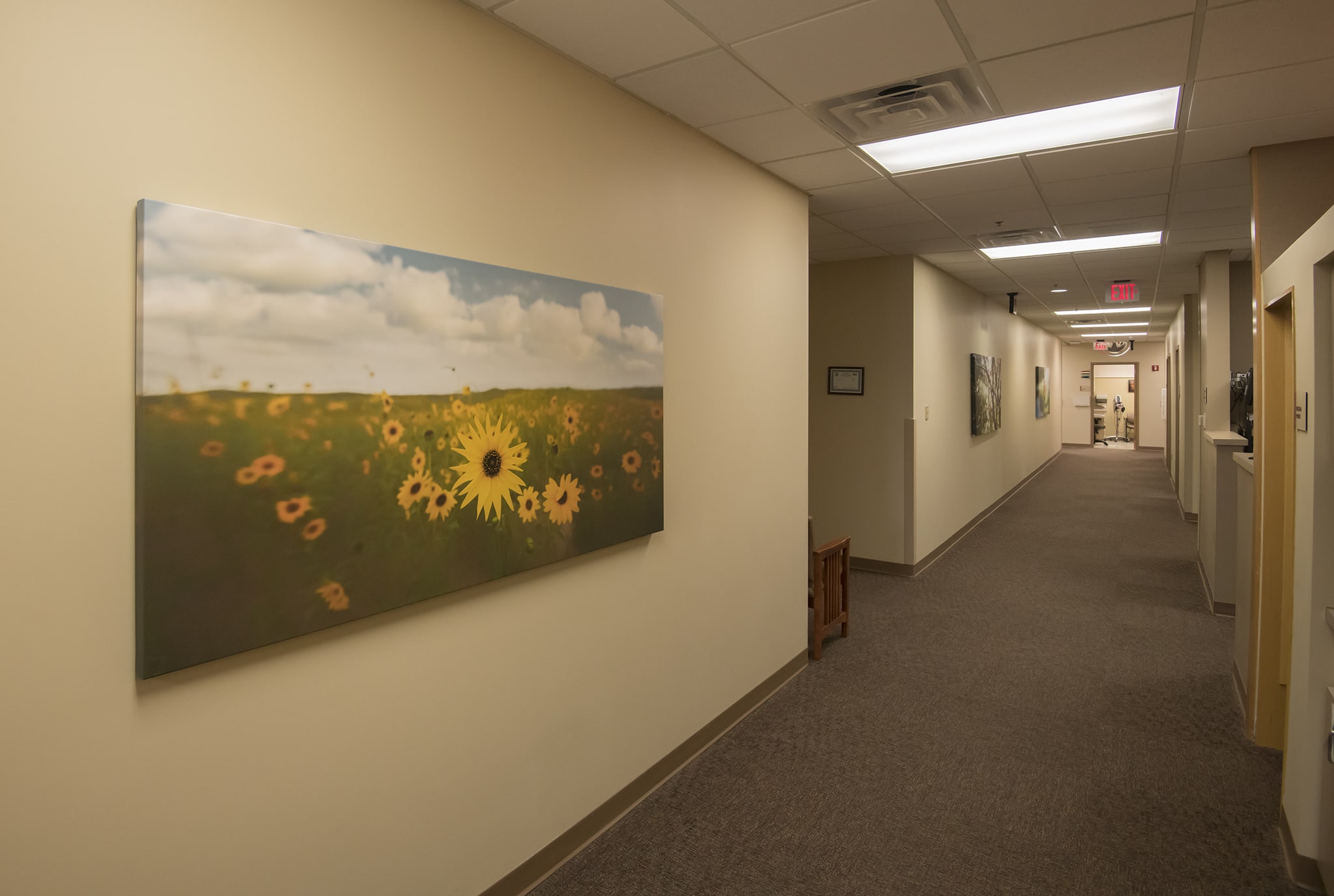 Long Panorama Artwork in Hall