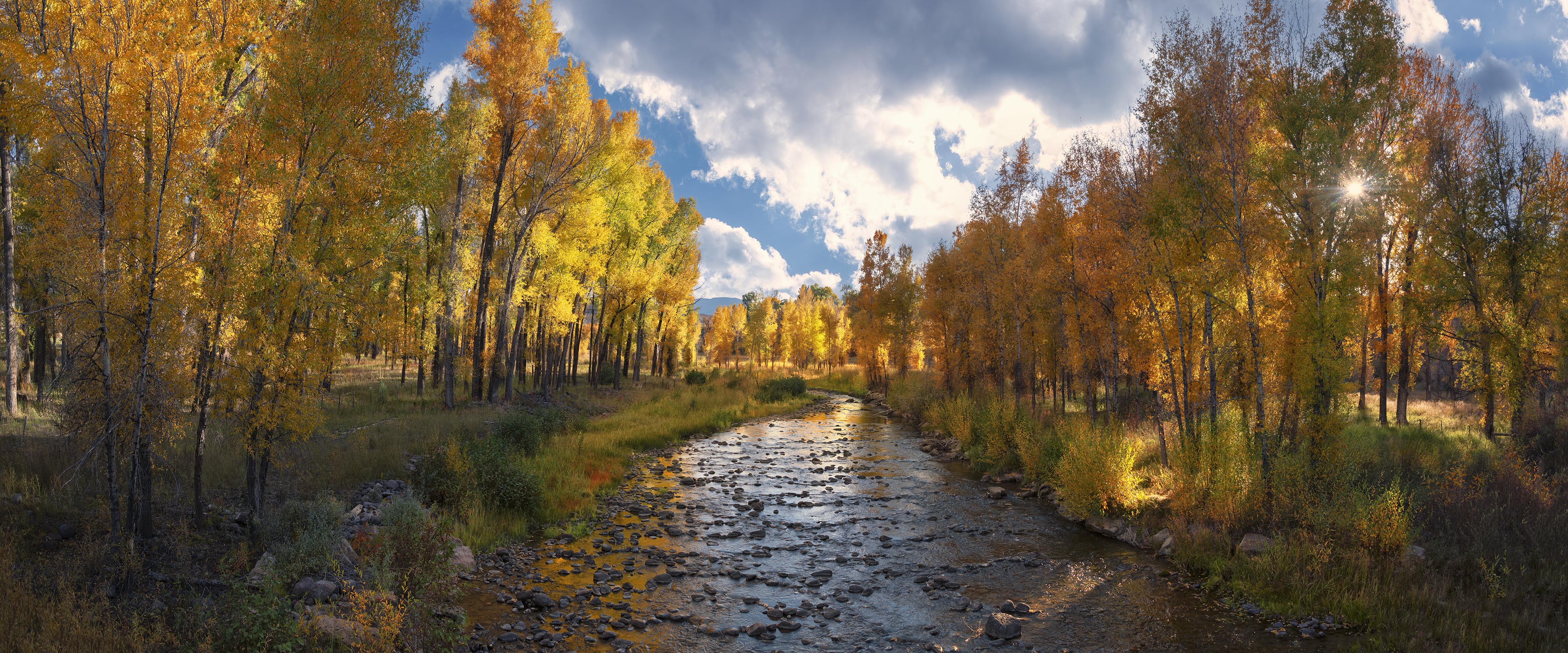 Golden Trees Surround Stream