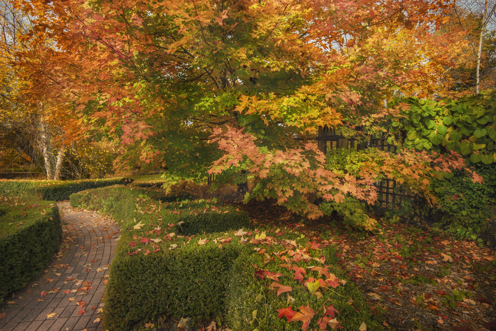 Path Through McCrory Gardens