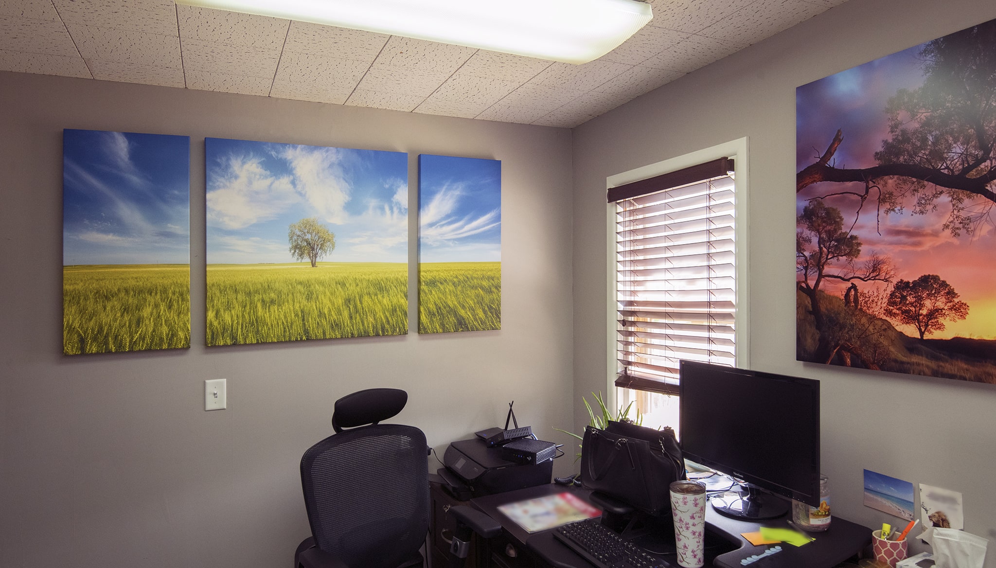 Private office Artwork