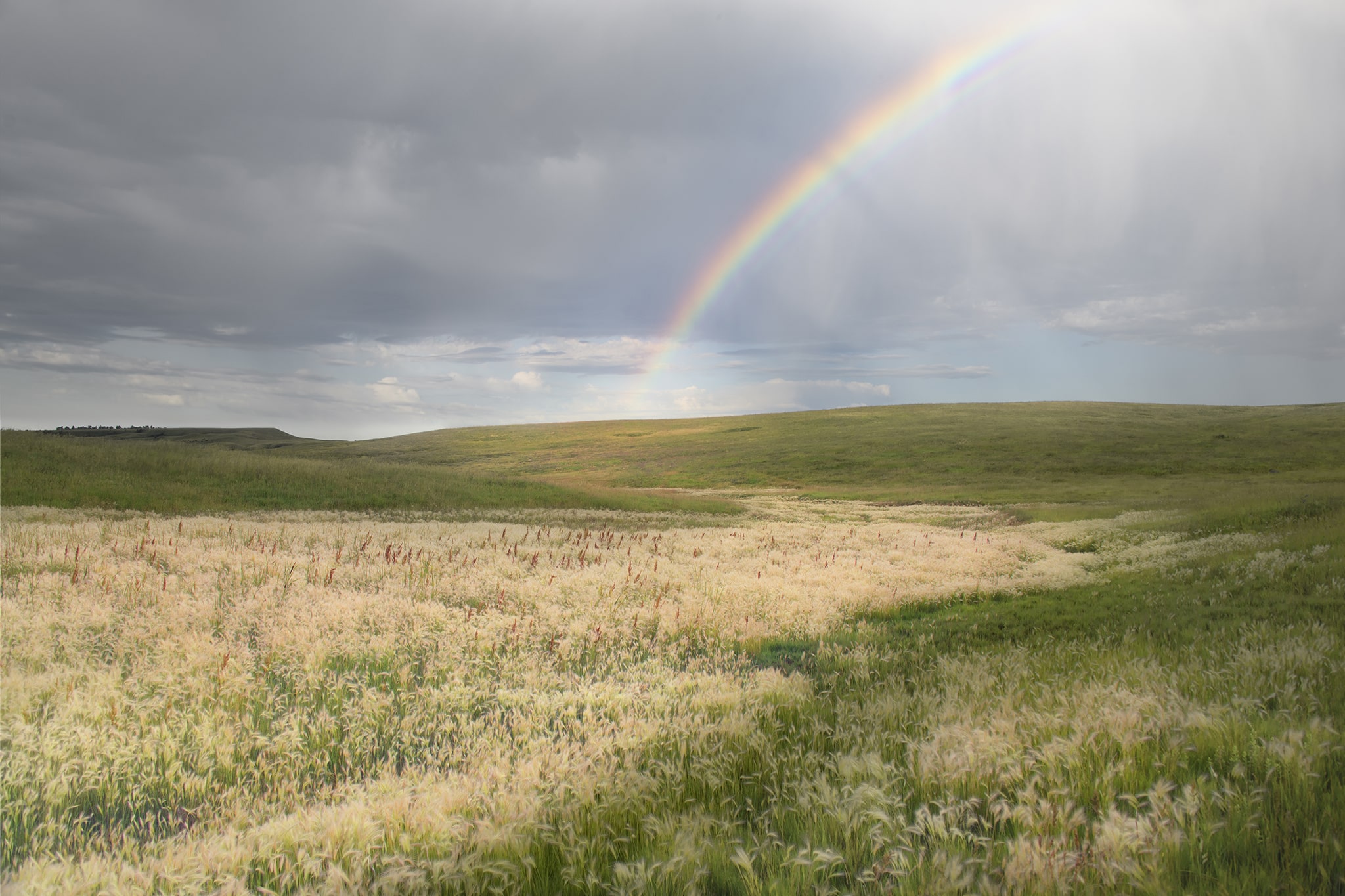 Rainbow in South Dakota Field