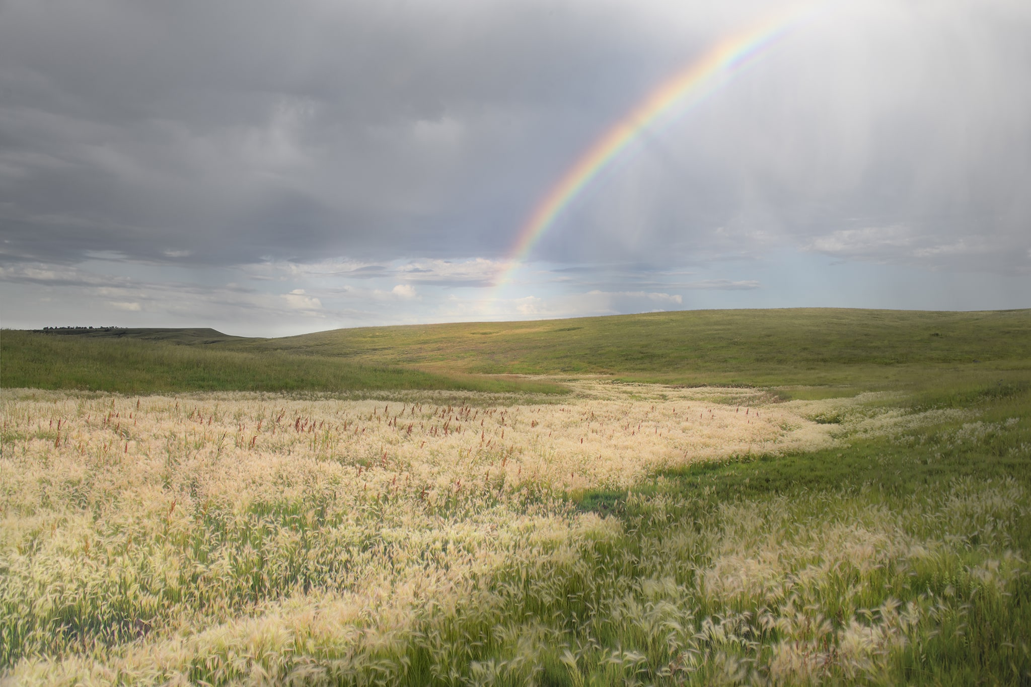 Rainbow in South Dakota Field