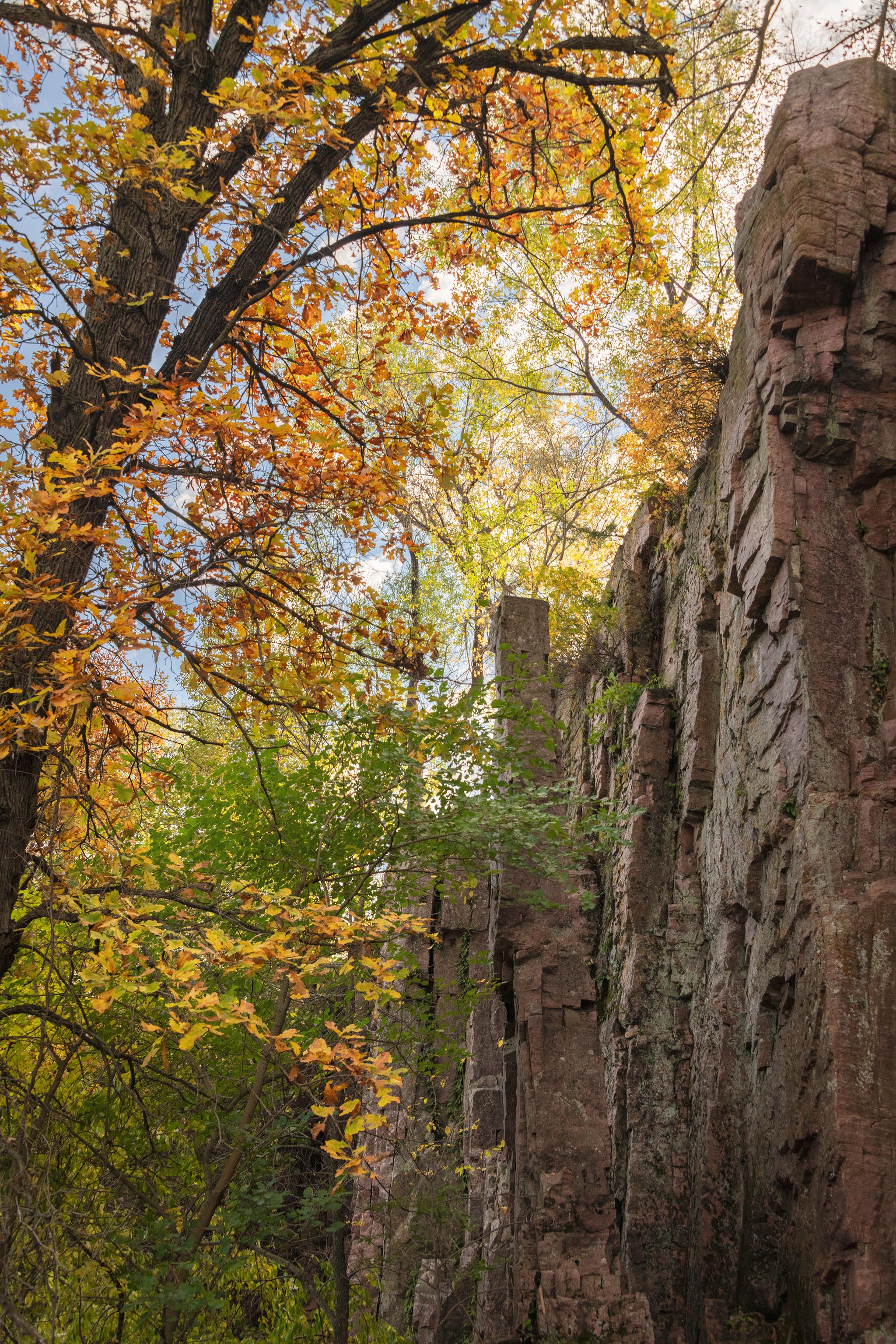 Fall Colors Along Palisades Trail