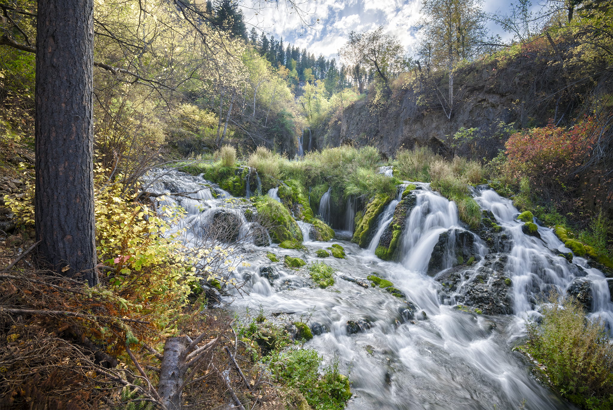 Roughlock Falls in Spearfish Canyon