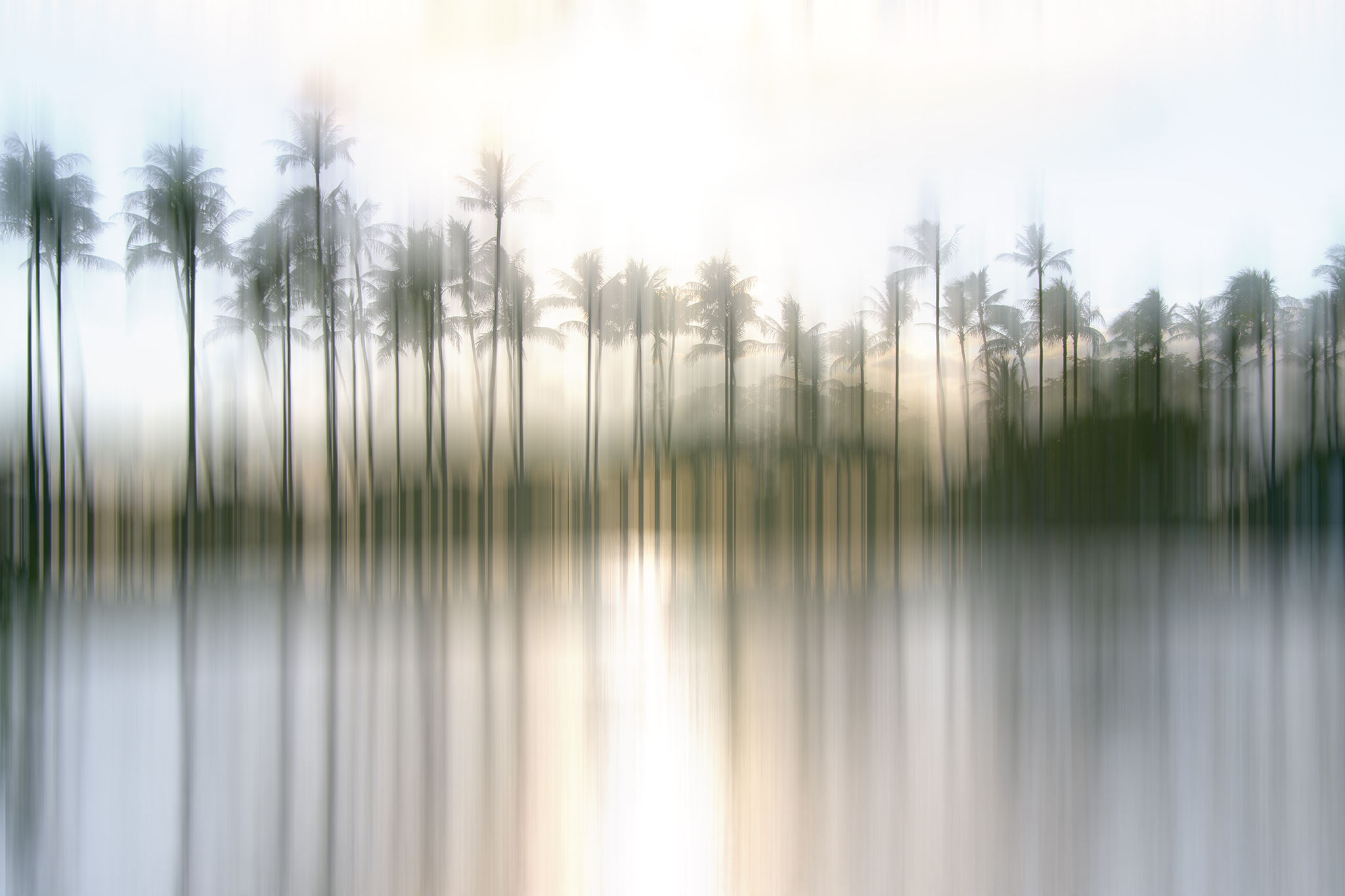 Abstract Palm Trees Picture