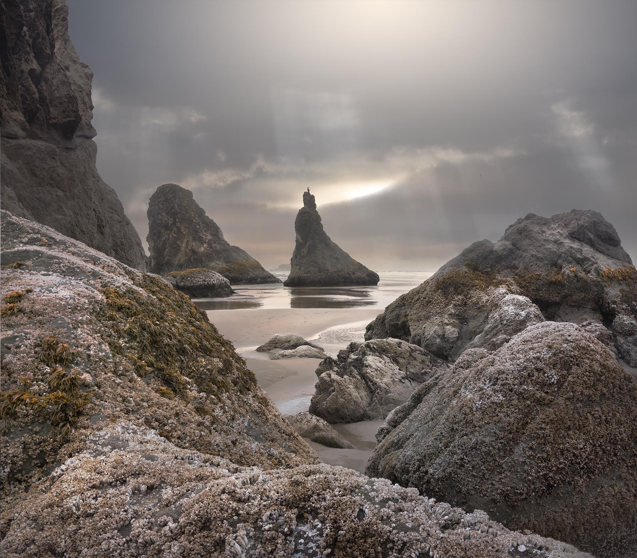 Sea Stacks in Oregon