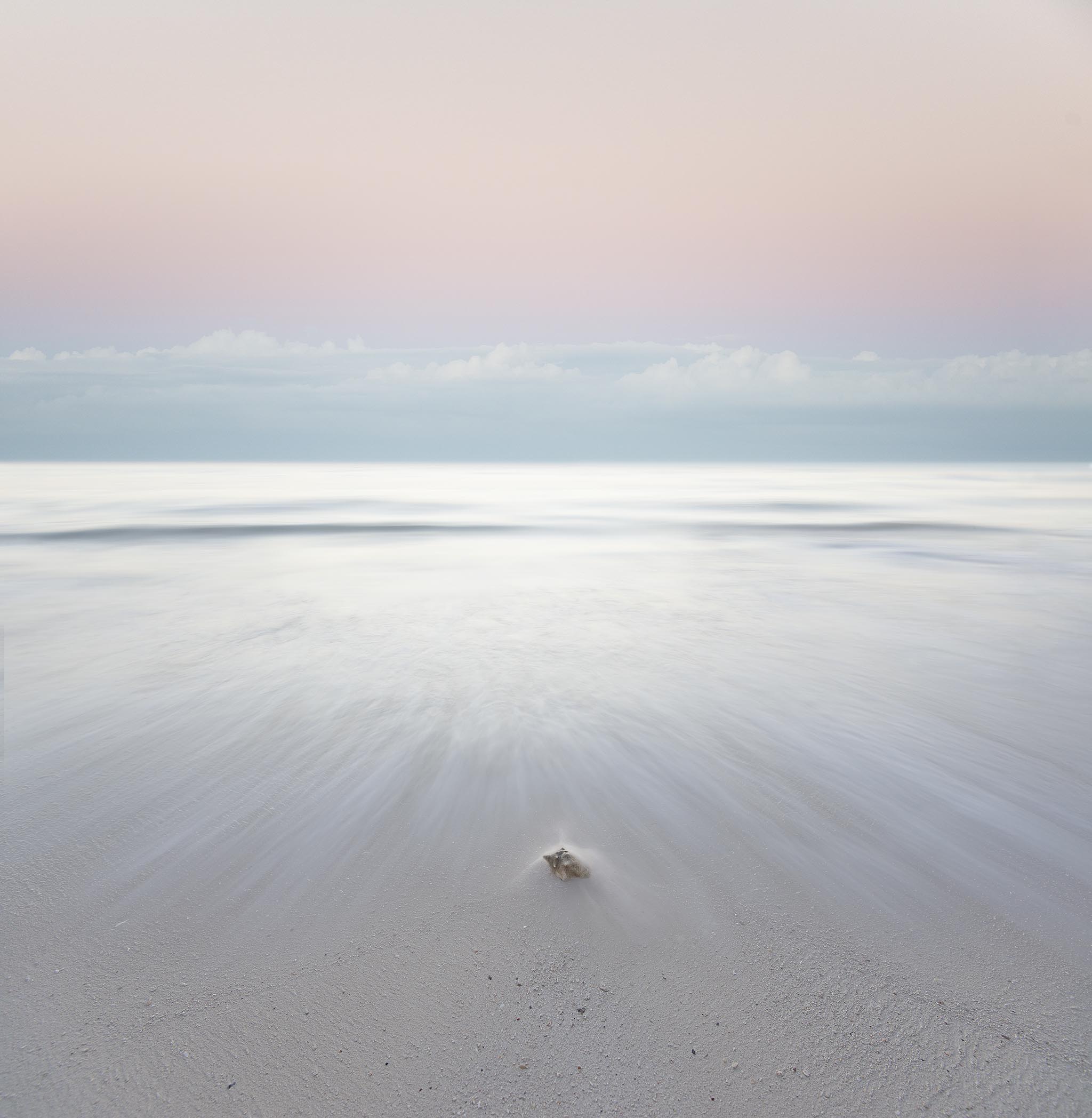 Minimalist Photo of Seashell on shore