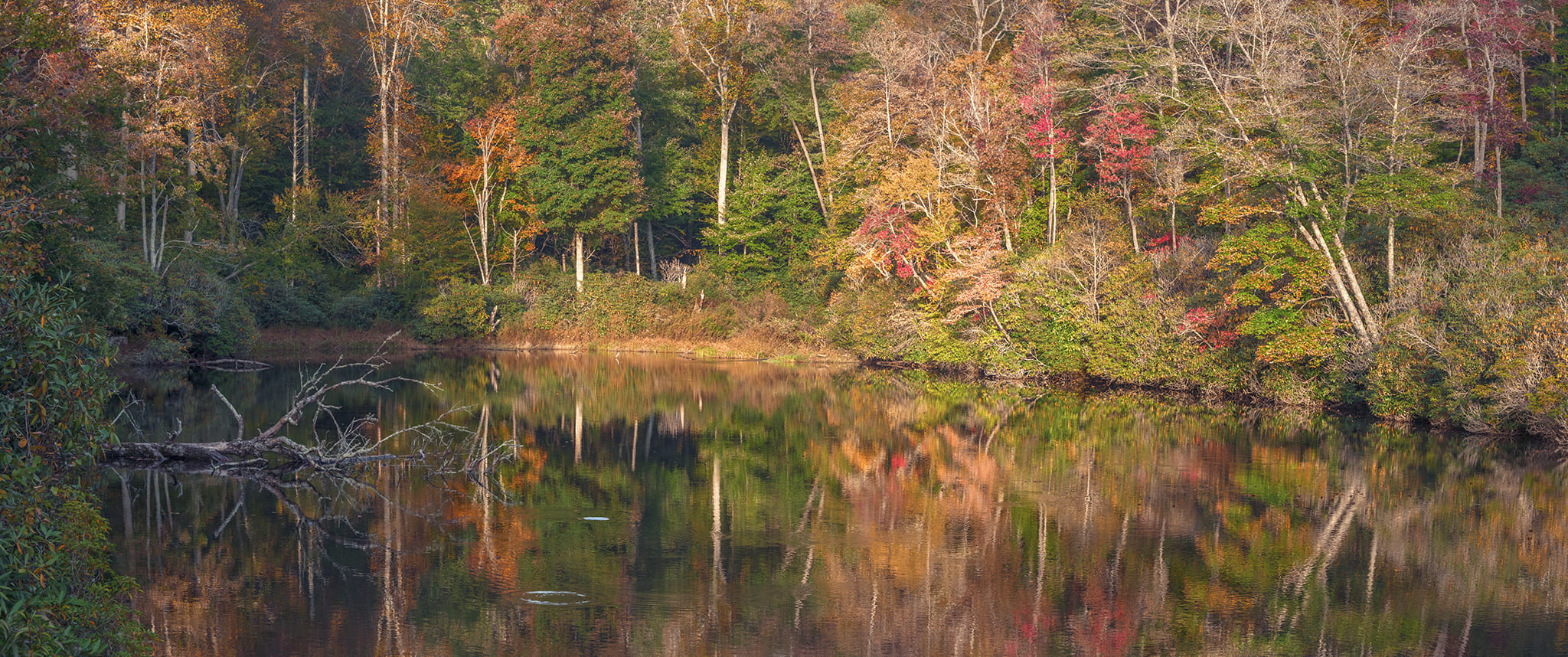 Sims Pond along Blue Ridge Parkway in Fall