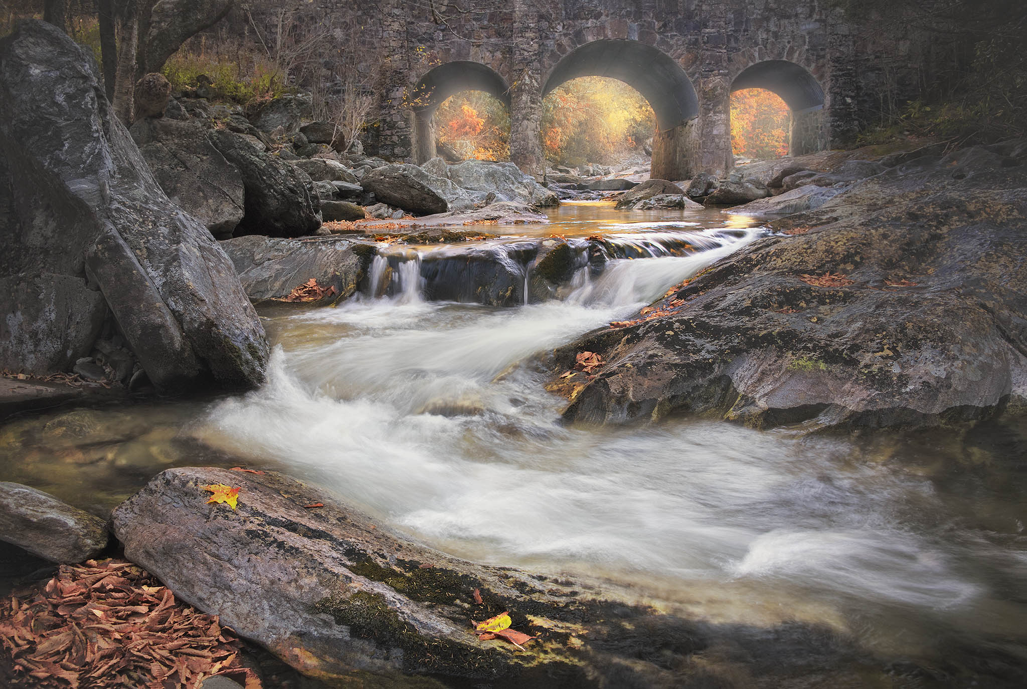 Stream and Crossing Bridge in North Carolina