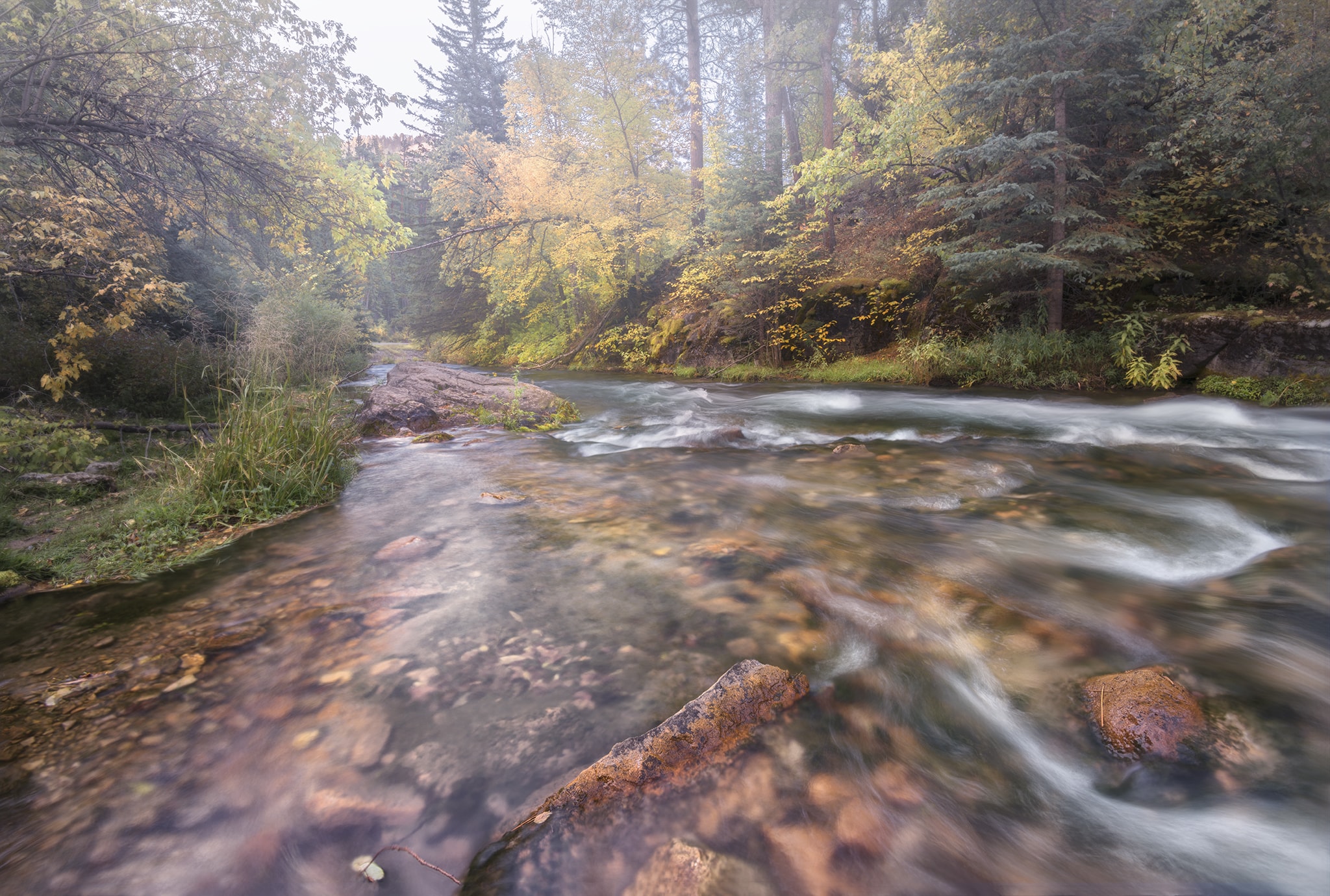 Spearfish Canyon Stream in Fall