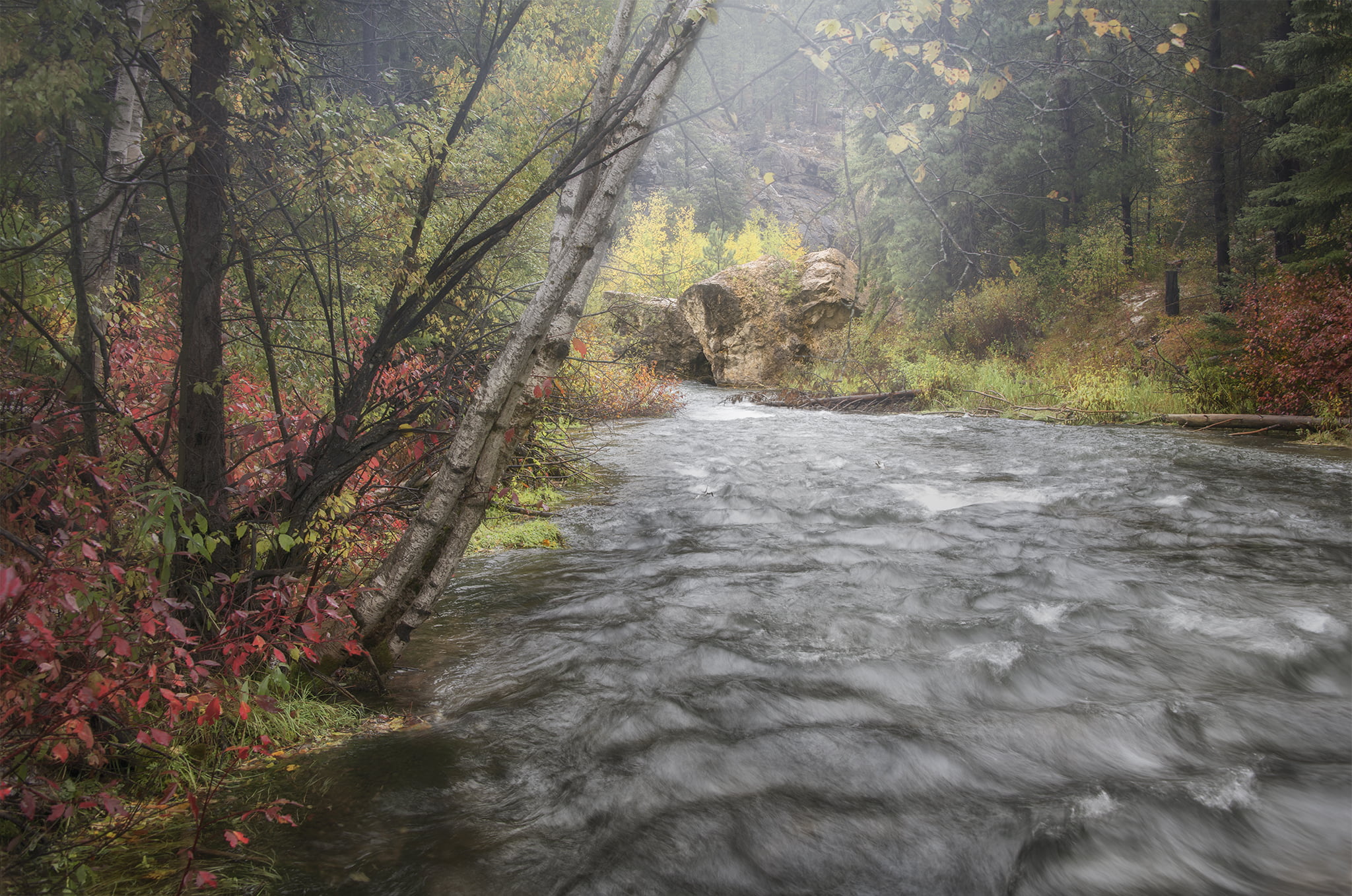 Stream Flowing to Rocks