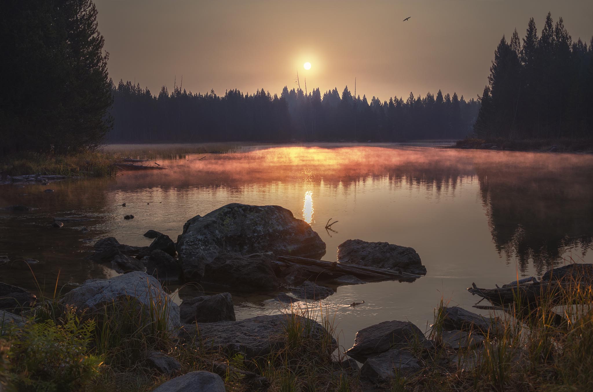 Rising Sun Over Forest at Taggert Lake