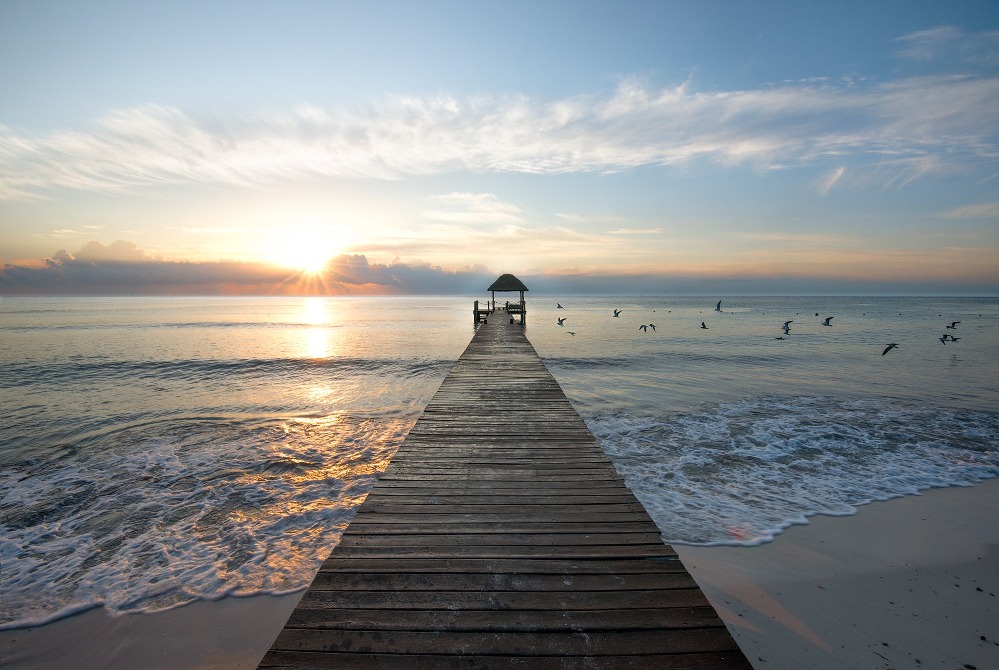 Birds Fly by Pier Picture