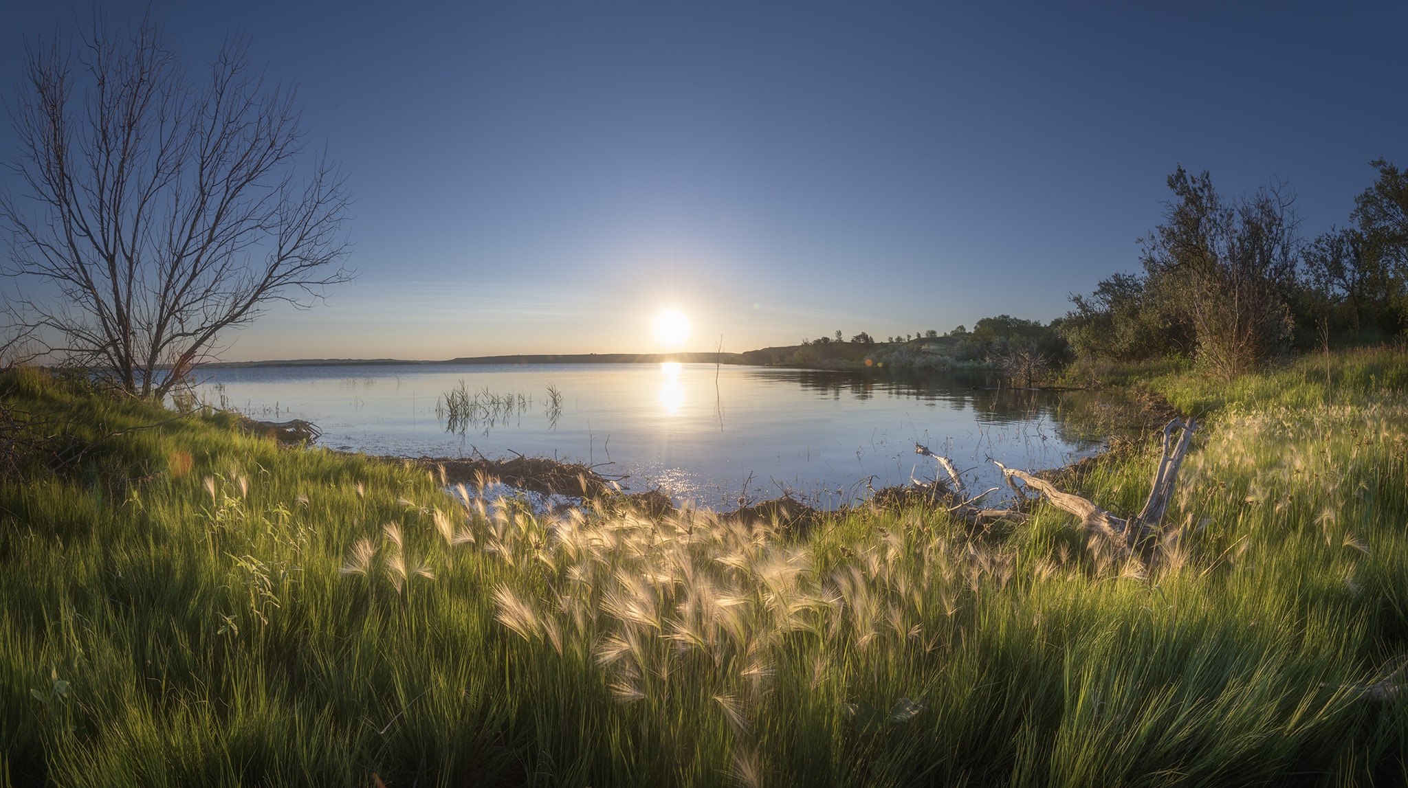 Whitlock Resort Sunrise