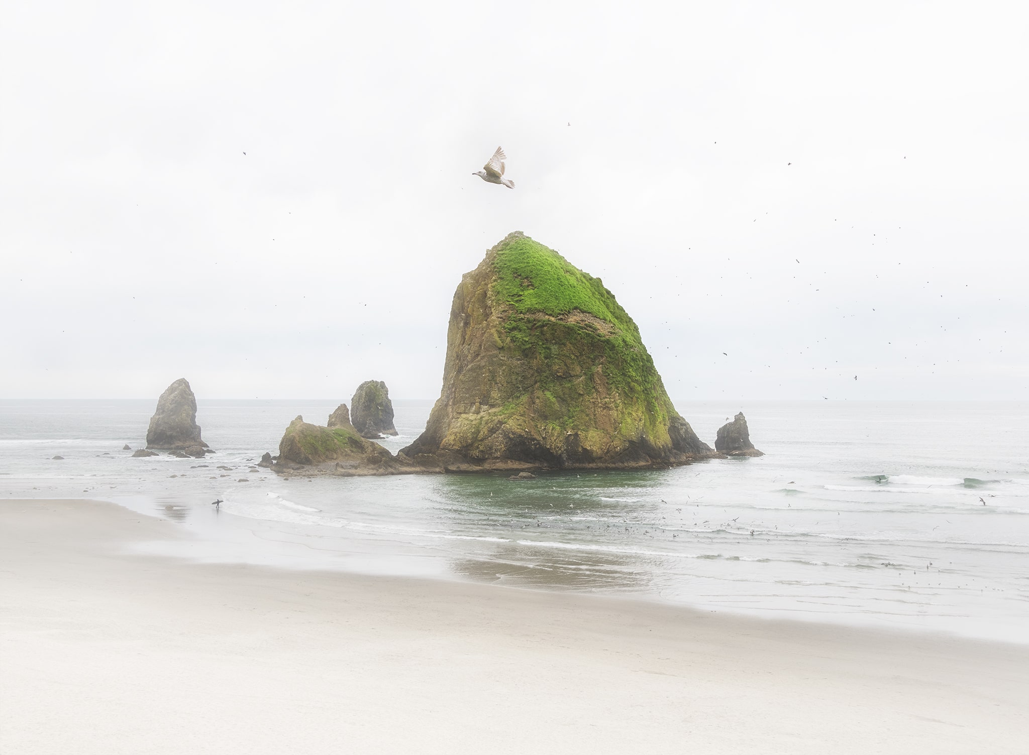 Surfers near Haystack Rock in Cannon Beach