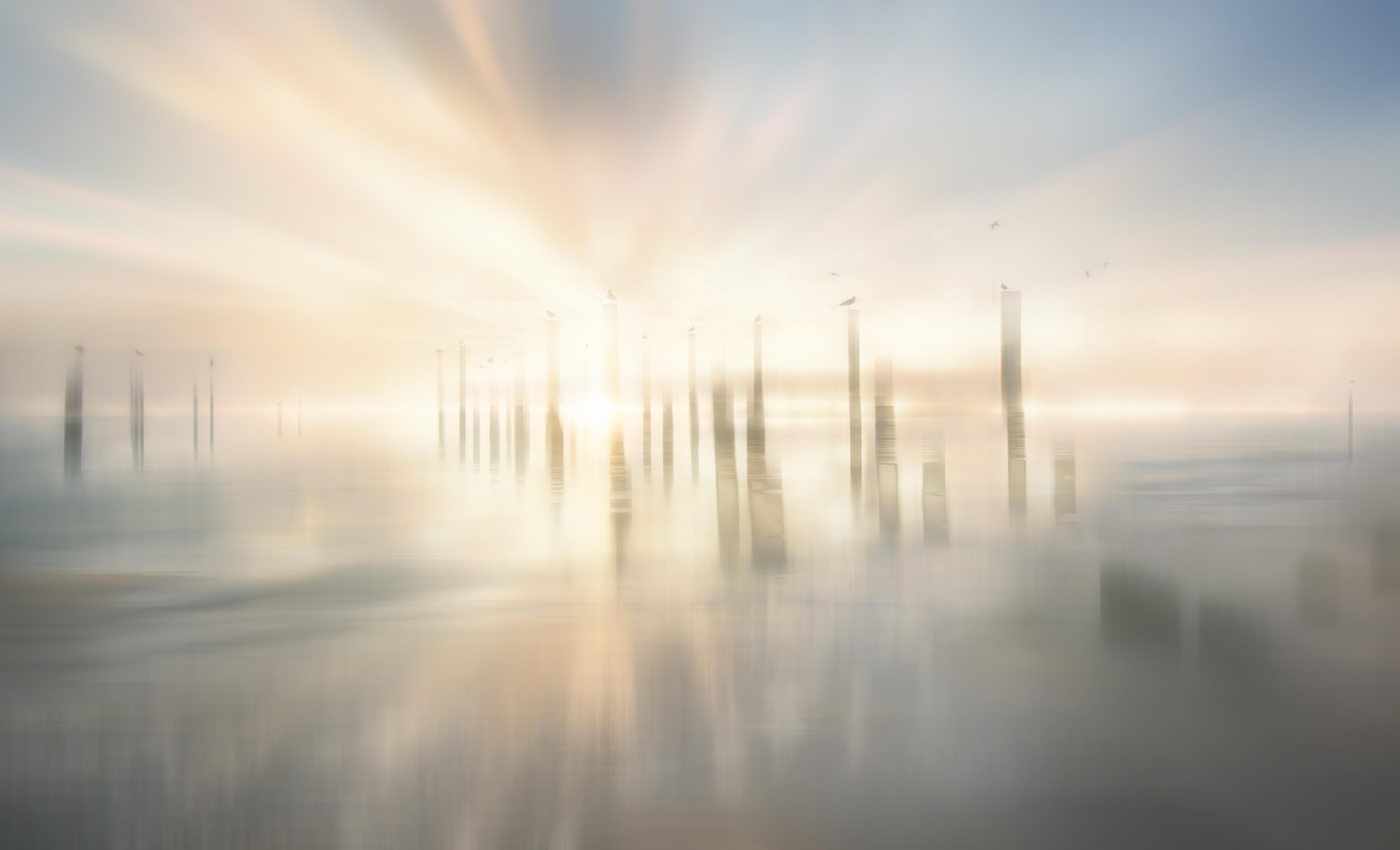 Abstract Sunrise Birds on Pier