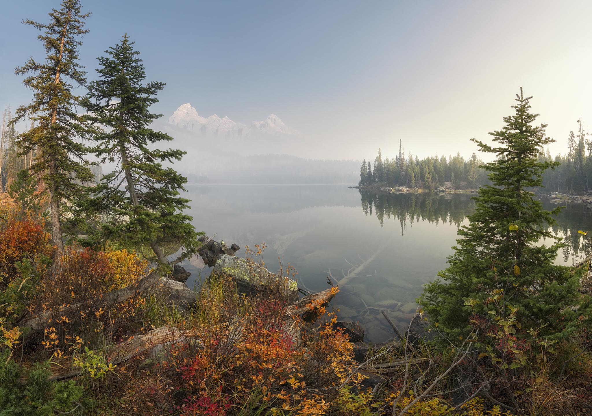 Trees overlooking Taggert Lake