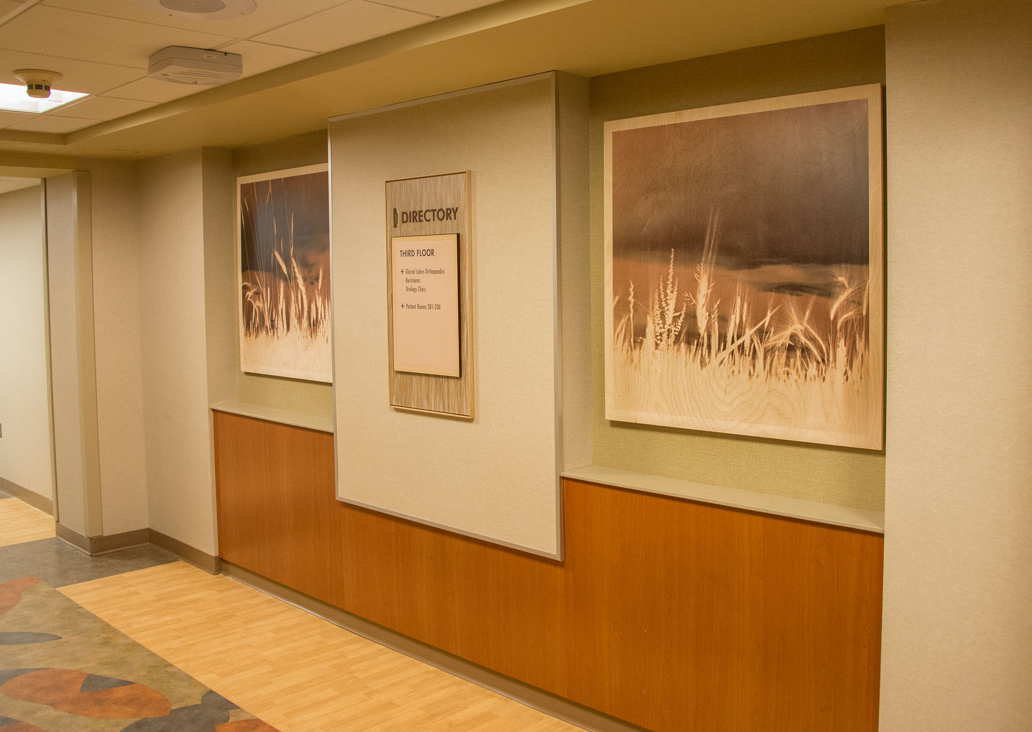 VICINITY - Hospital Artwork by Elevators