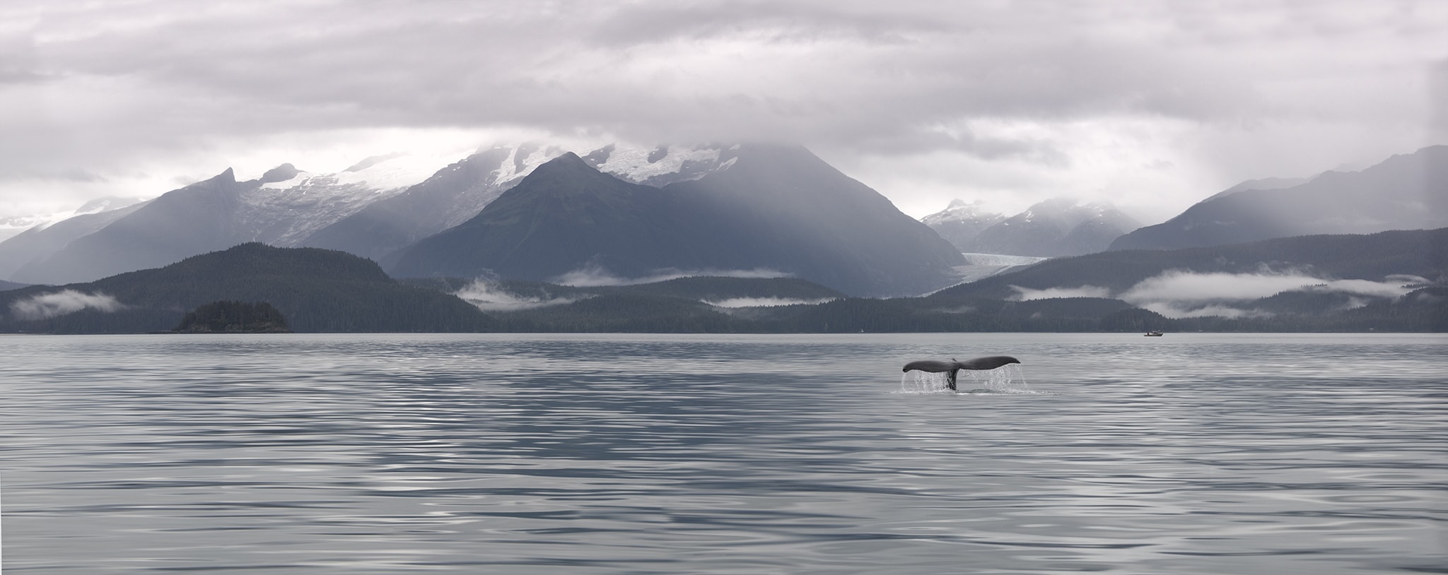 Whale Tail artwork of Alaska