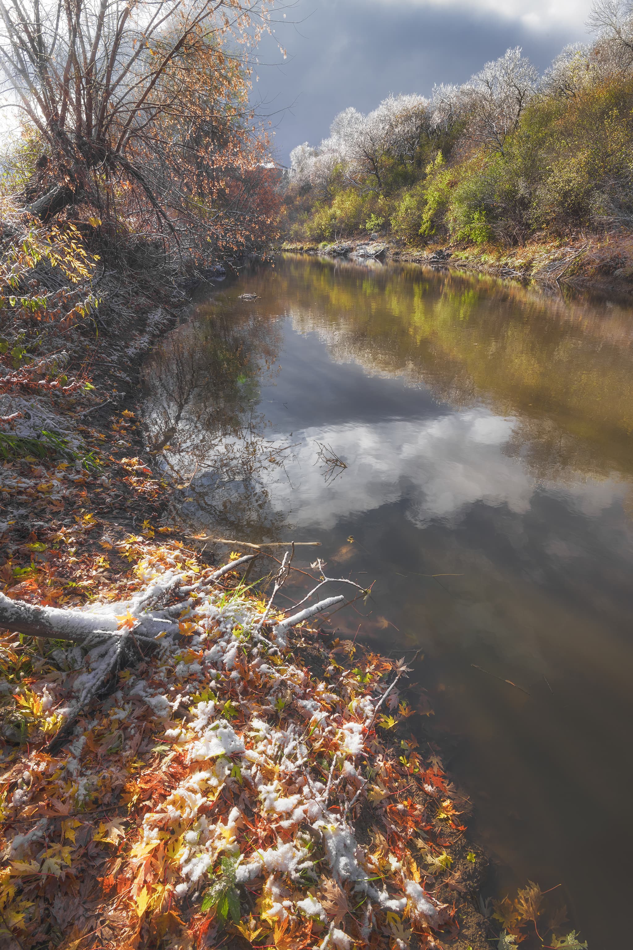 Snow covered autumn leaves and stream