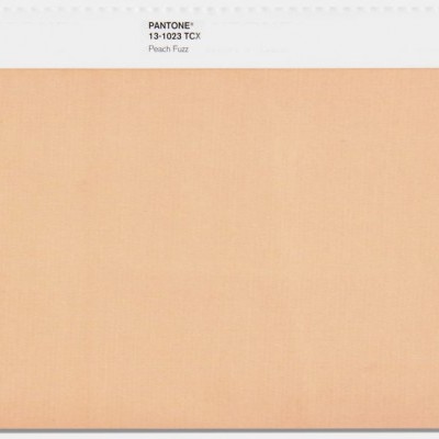 Peach Fuzz: Pantone’s 2024 Color of the Year
