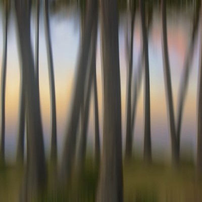 Intentional Camera Movement