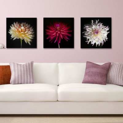 Distinctive Dahlias