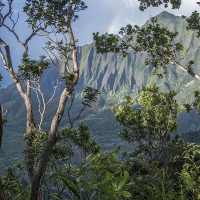 A Brilliant & Dangerous Kalalau Lookout Moment