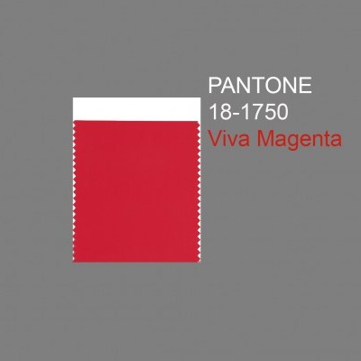 2023 Color of the Year